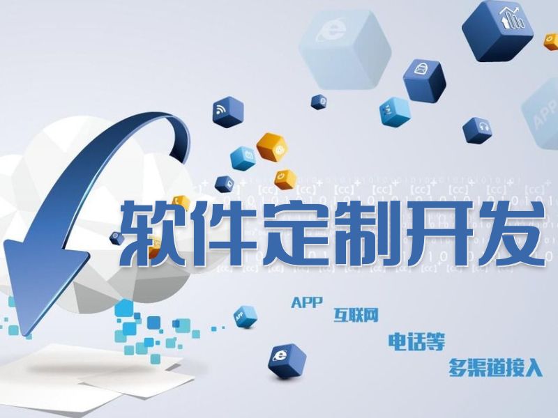 软件定制化开发